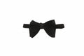 Van buck Velvet Bat Wing Bow Tie