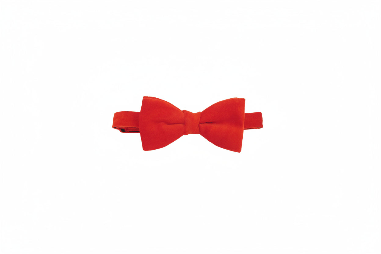 Van Buck Velvet Bow Tie