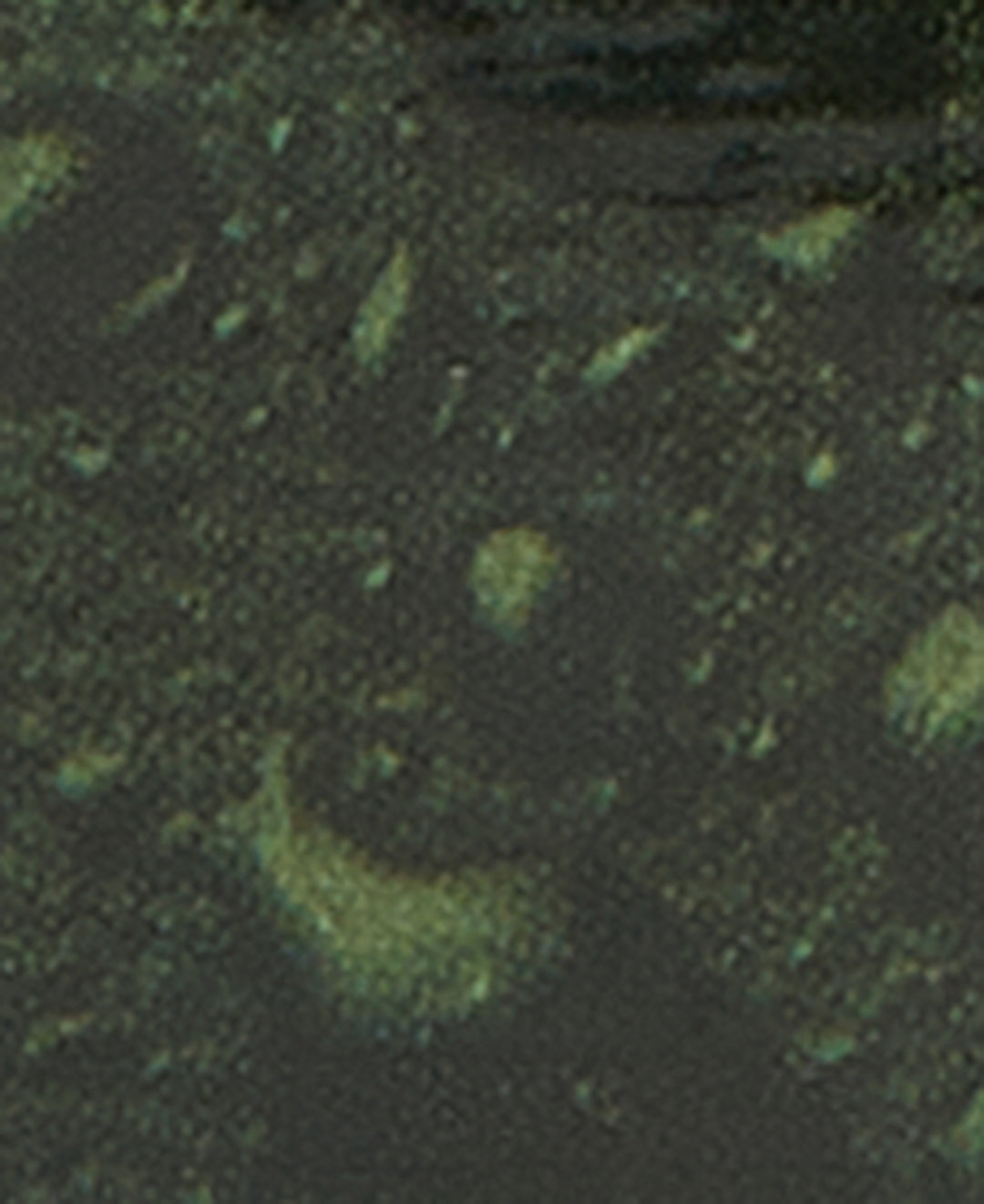 Barbour Thornproof Dressing